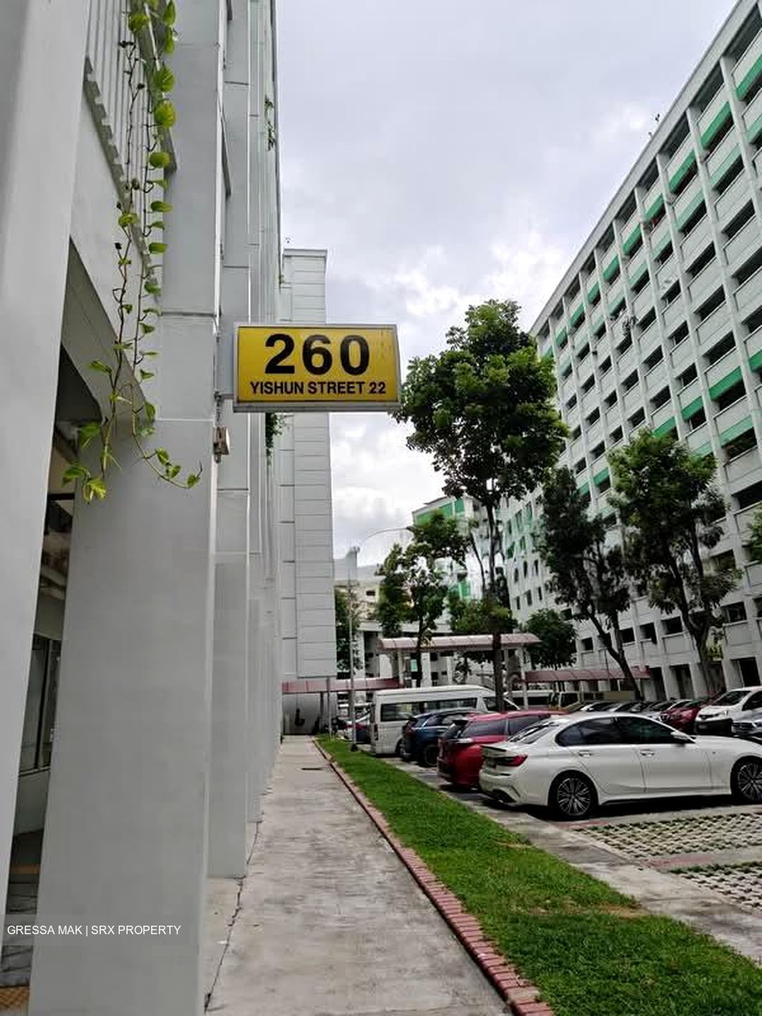 Blk 260 Yishun Street 22 (Yishun), HDB 4 Rooms #553480651